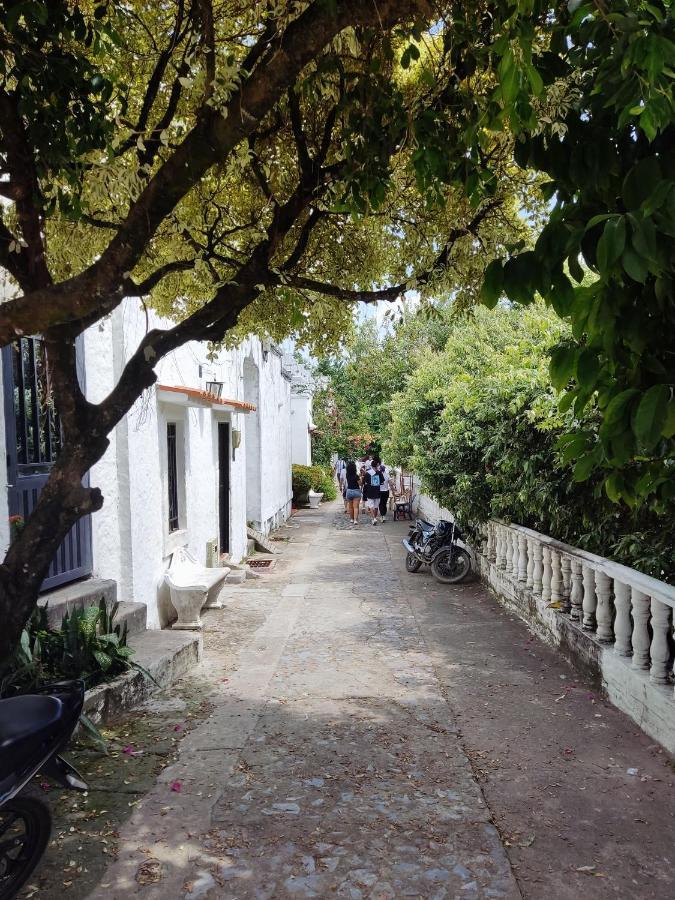 Cabana 52 En La Aldea Doradal Santorini Colombiano מראה חיצוני תמונה